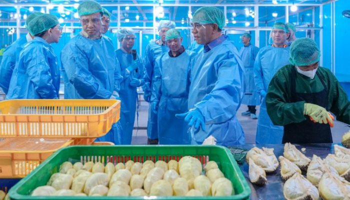 Sulteng Ekspor 459 Ton Durian ke Tiongkok, Dorong Sektor Pertanian
