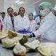 Gubernur Resmikan Packing House Durian di Parimo, Dorong Ekspor