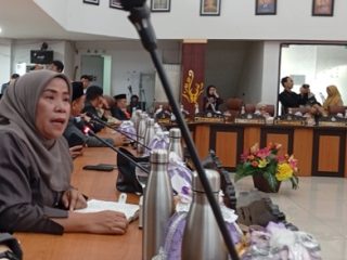 Anggota DPRD Kota Palu, Ulfa