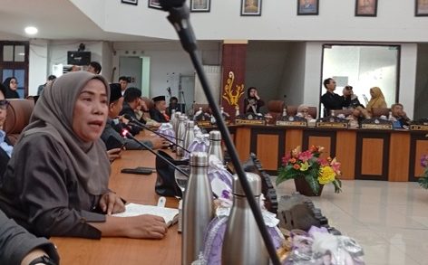 Anggota DPRD Kota Palu, Ulfa