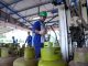 Stok LPG 3 Kg di Kota Palu Dipastikan Aman, Pertamina Pastikan Distribusi Lancar