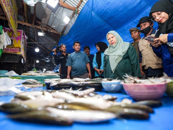 Wagub Reny Pantau Pasar Tolitoli, Stok Bahan Pokok Aman