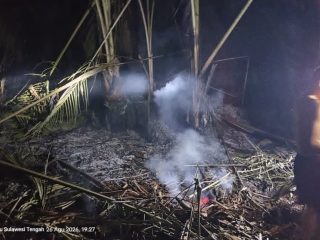 Kebakaran Lahan Gambut di Buol, Api Berhasil Dipadamkan