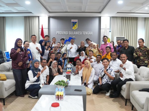 Nasib PPPK Nakes Dipertanyakan, Anwar Hafid Telepon Wamenkes