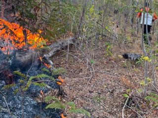 Karhutla Hanguskan 1 Hektare Lahan di Desa Tombang Banggai