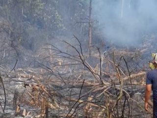 Karhutla di Siboang Donggala Bakar 3 Hektare Lahan