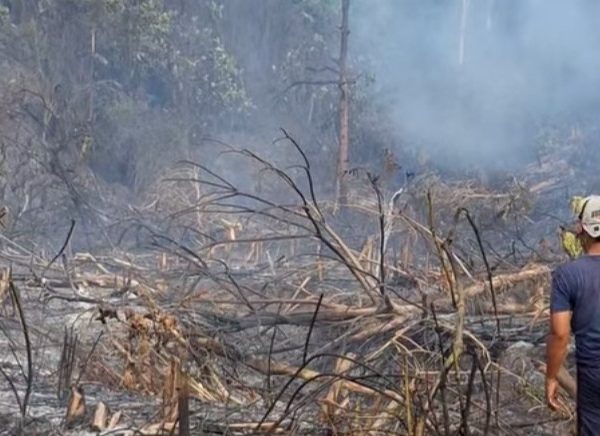 Karhutla di Siboang Donggala Bakar 3 Hektare Lahan
